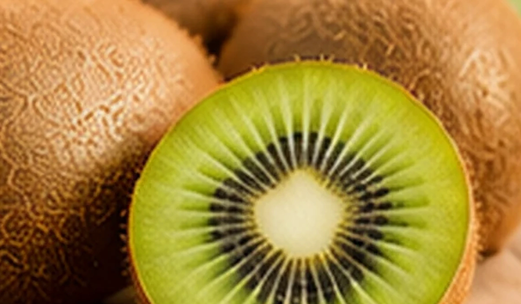 Kiwi Knowledge Centre | TerraMagro