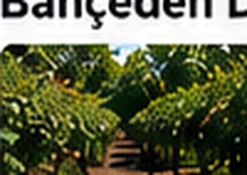 About TerraMagro | TerraMagro