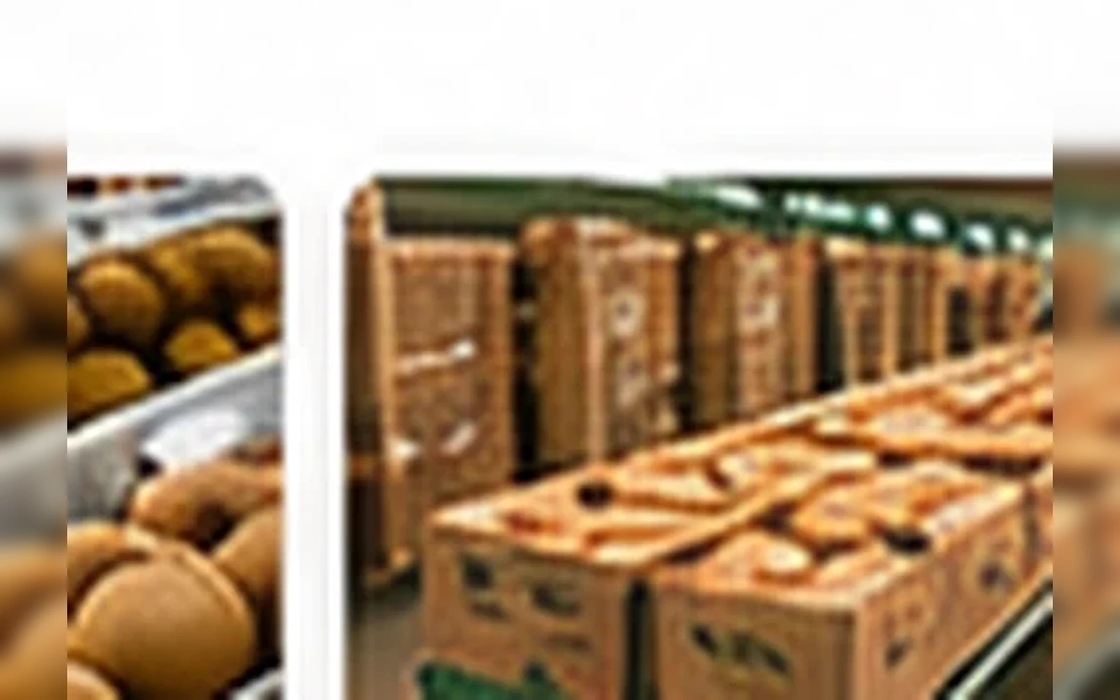 Cold Storage